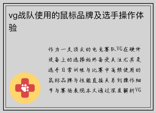 vg战队使用的鼠标品牌及选手操作体验