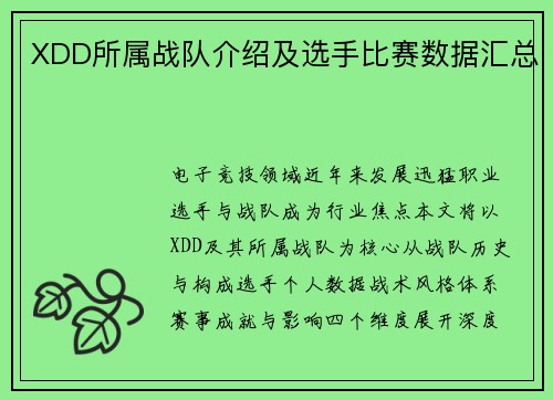 XDD所属战队介绍及选手比赛数据汇总