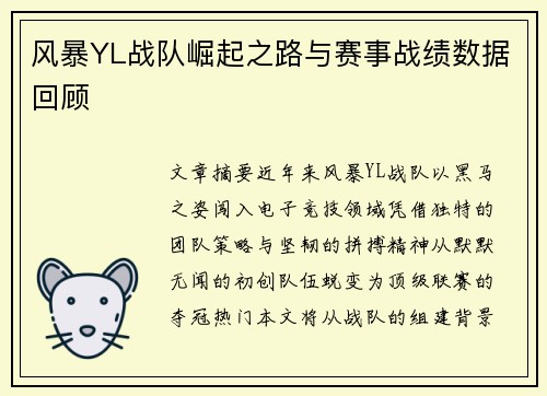 风暴YL战队崛起之路与赛事战绩数据回顾